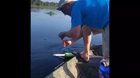 That’s not a catfish