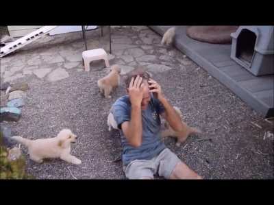 Group of canines devour innocent human as he begs for mercy