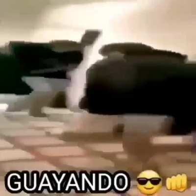 Guayando 😎👊