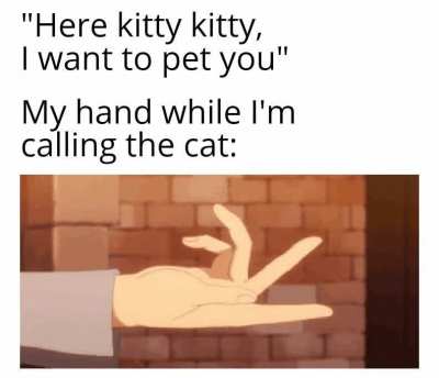 Why did kitty run away? :(