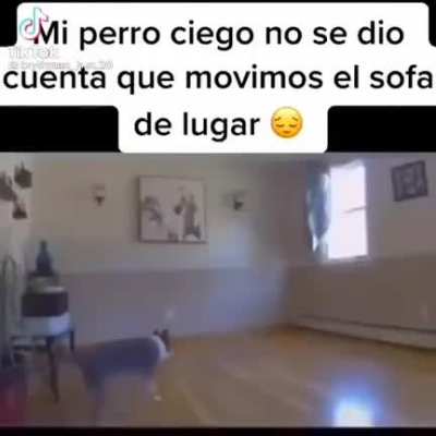 Me voy a ir al infierno por esto...