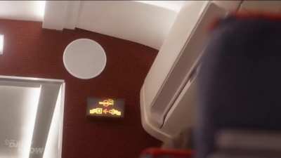Say goodbye to DEI in the sky with White Flight racial support pilots! (Daily Show Sketch)
