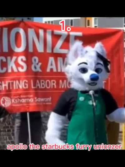 furry_irl