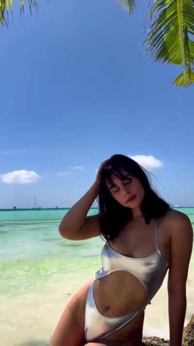 Max Collins
