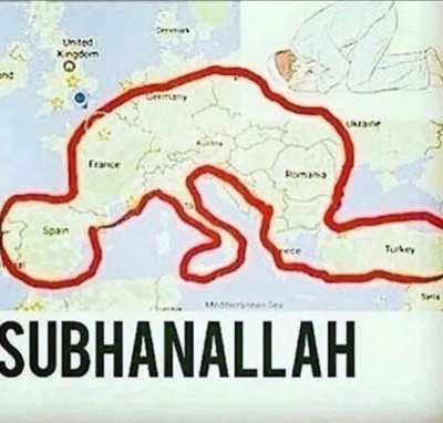 :'D