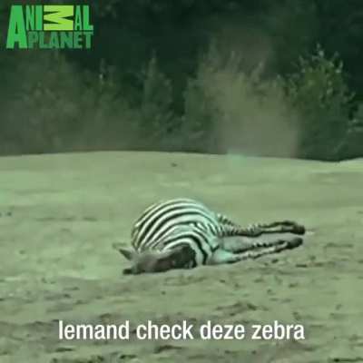 Apson op safari