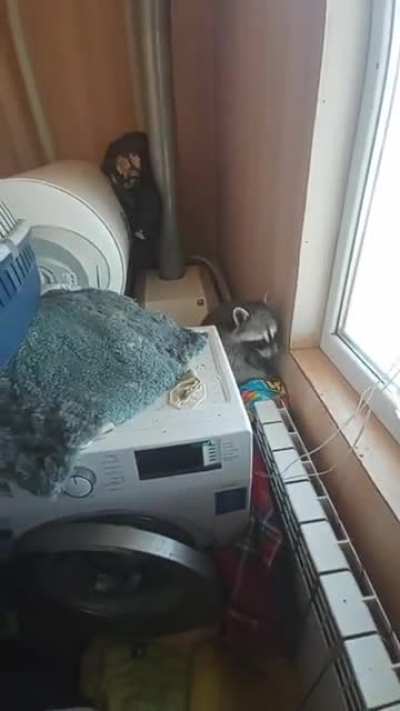Много смешн<wbr>ого мата