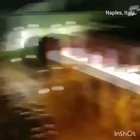 Primită pe WhatsApp, citiți prezentarea în engleză, foarte frumoasă!