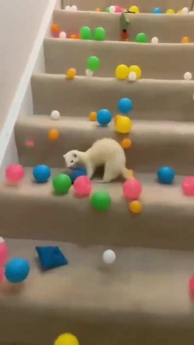 The ball is mine