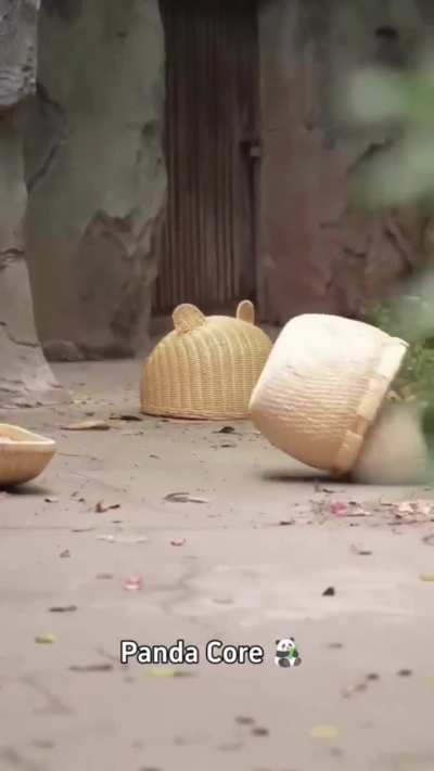 Panda core
