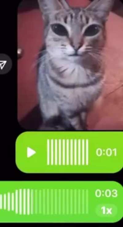 Extraterrestrial wunkus