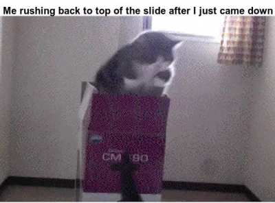 I am the king of the slide