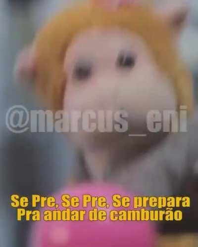 Festa na quarentena