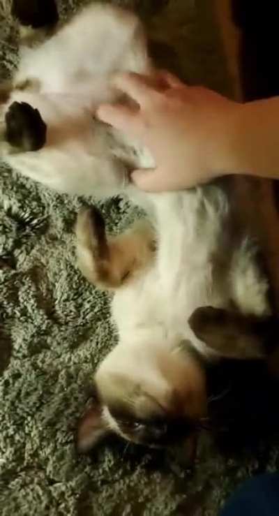 Belly rubs!