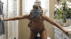 When banging a butterface from behind isn't good enough