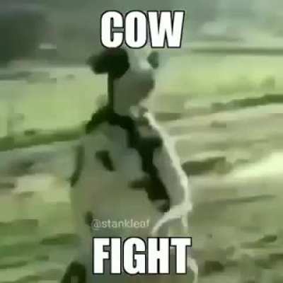 Epic Bruh Moment