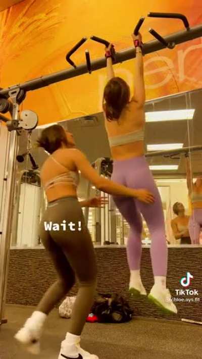 two great asses