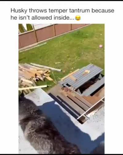 *Demonic husky noises*