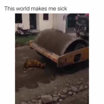 Does Humanity Exists?