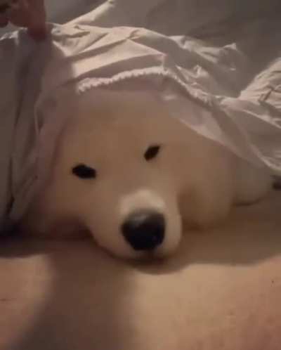 Yay you found me