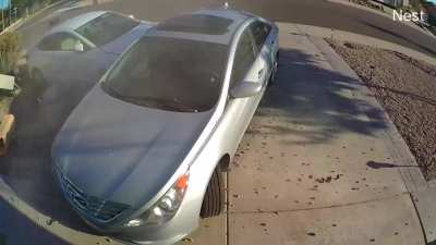 Drunk driver at 3 pm on a Monday in Arizona