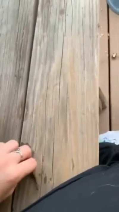 A stick is a stick no matter how small