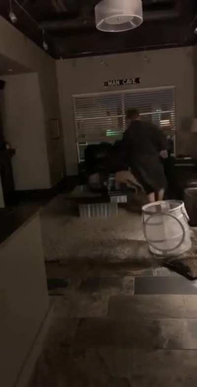 Chasing my dog