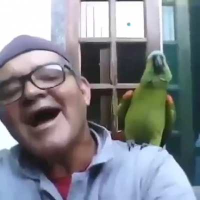 Loro 🦜 AAAA
