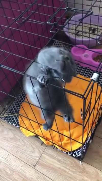 Illegally escaping
