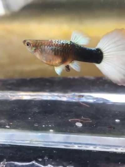 It's time to become a mother