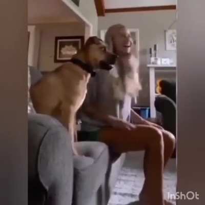 Soccer Dog
