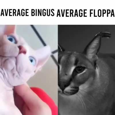Facts