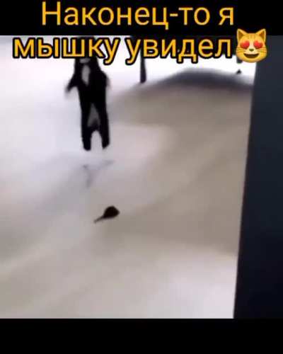 Ура, мышь ,мыышшш . Ура ,ура ,ура