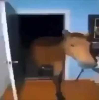 um