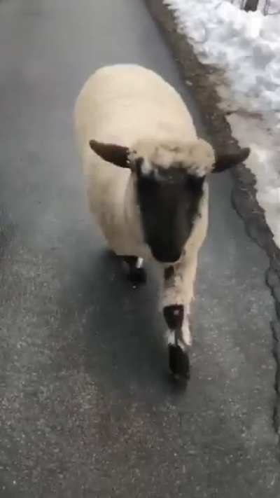 does this count?