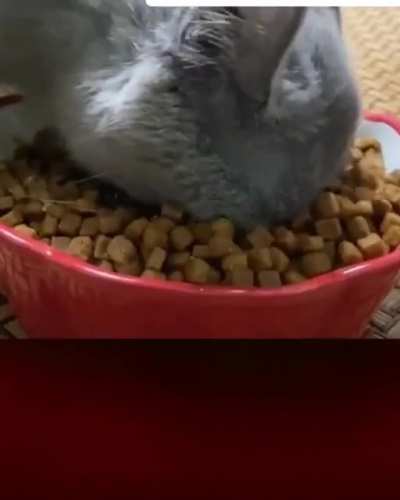 When the tastier bits are at the bottom of the bowl