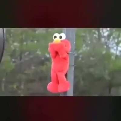 noooo elmo