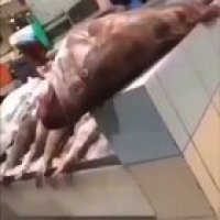Fish market be like