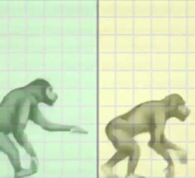 Return to monke unity? (First time editing, sorry for bad quality)
