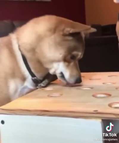 Bro it’s just a hotdog