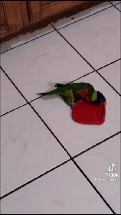 TotallyFineBirb