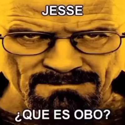 obo