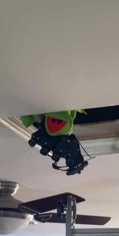 Spec ops 🐸