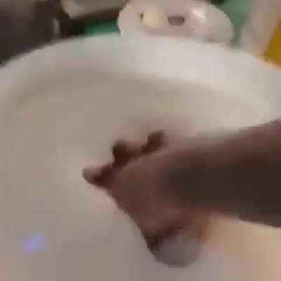 jkjkjkjkn