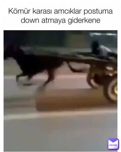 Orjinal içerik