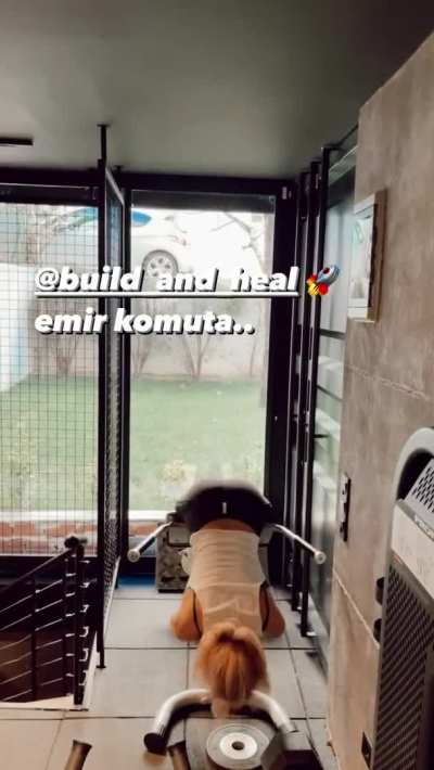 fitness
