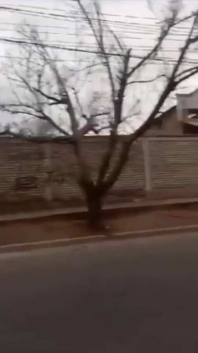 A la casa!!!