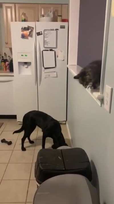 Maybe Maybe Maybe
