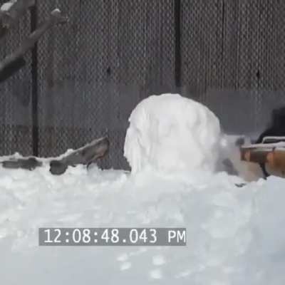 the best minute video you'll watch today