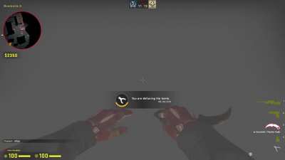 My 1v4 Ninja Defuse